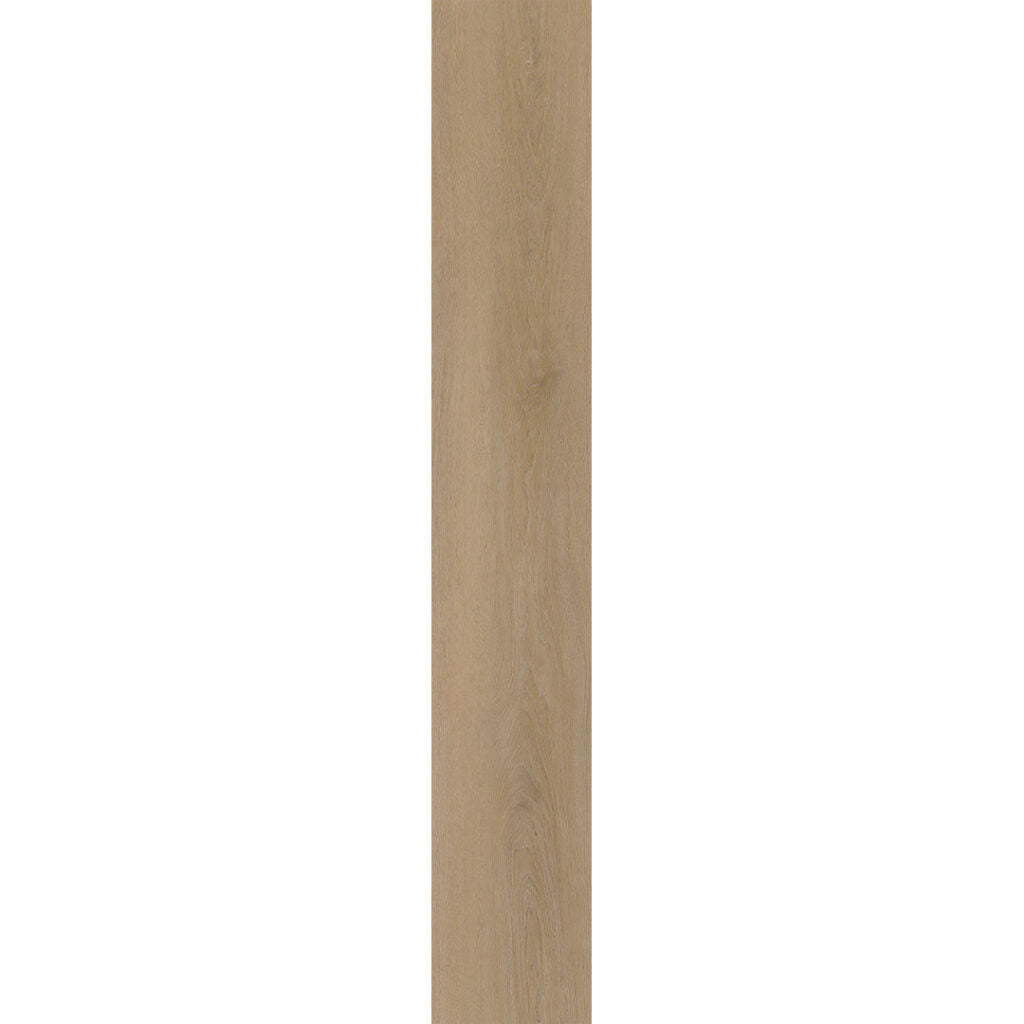Belakos Attico 810