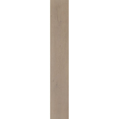 Belakos Attico 830